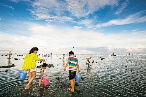 海南赶海爆料网站大全视频,精彩视频一网打尽
